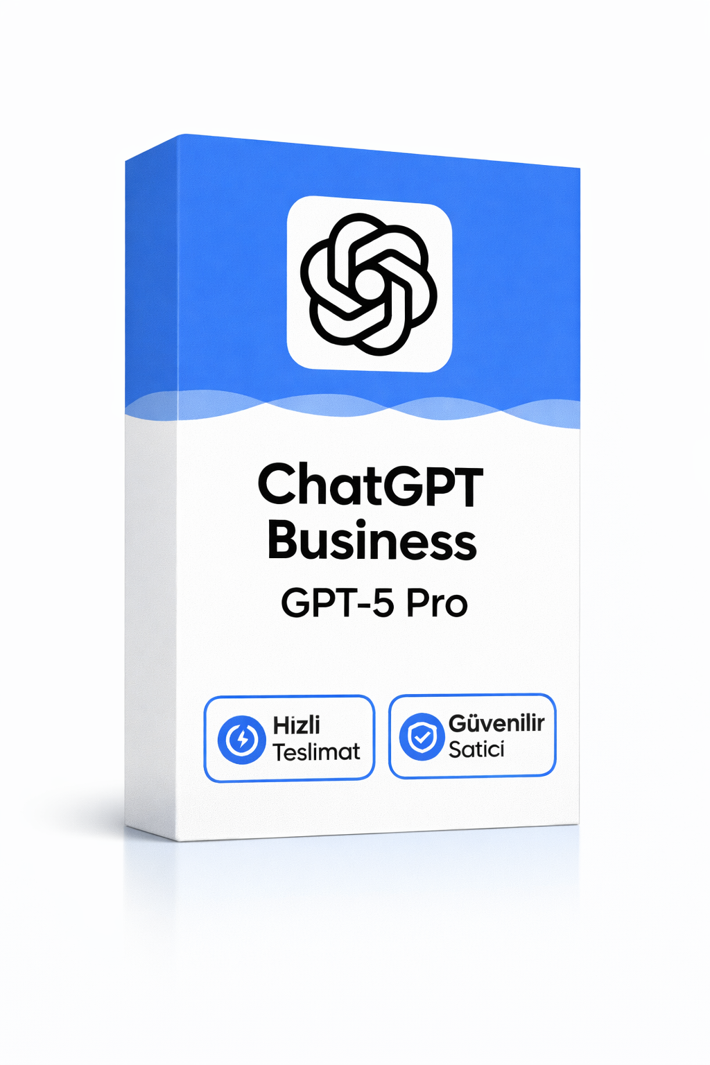 ChatGPT Business Plus – GPT 5.2 Pro – Mailinize Tanımlanır